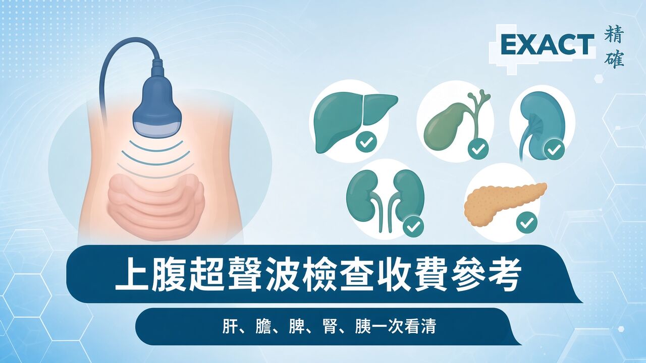 上腹超聲波檢查費用參考、準備及注意事項-exact medical-精確醫療